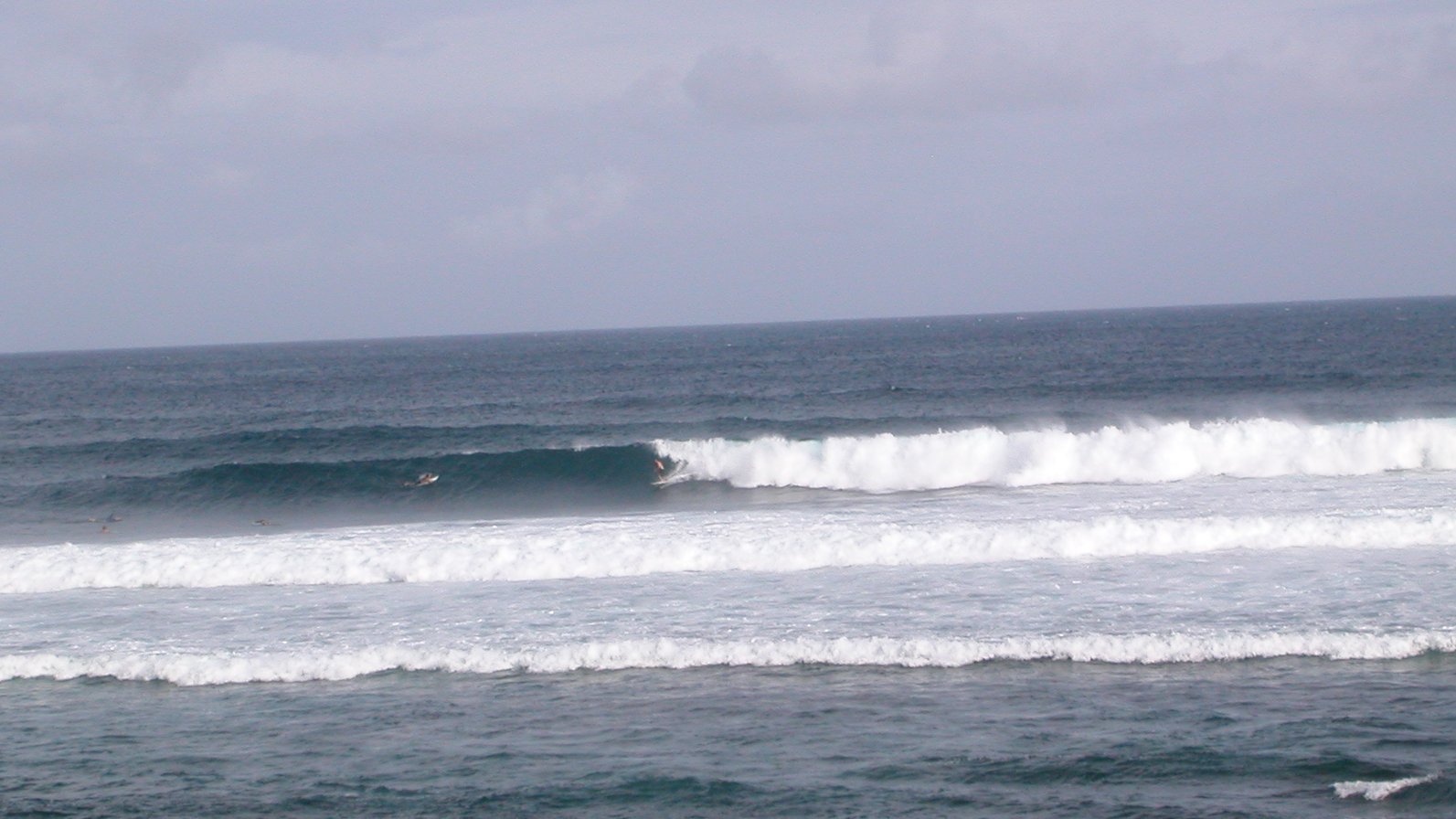 seedicksurf.com - Daily Hot shot