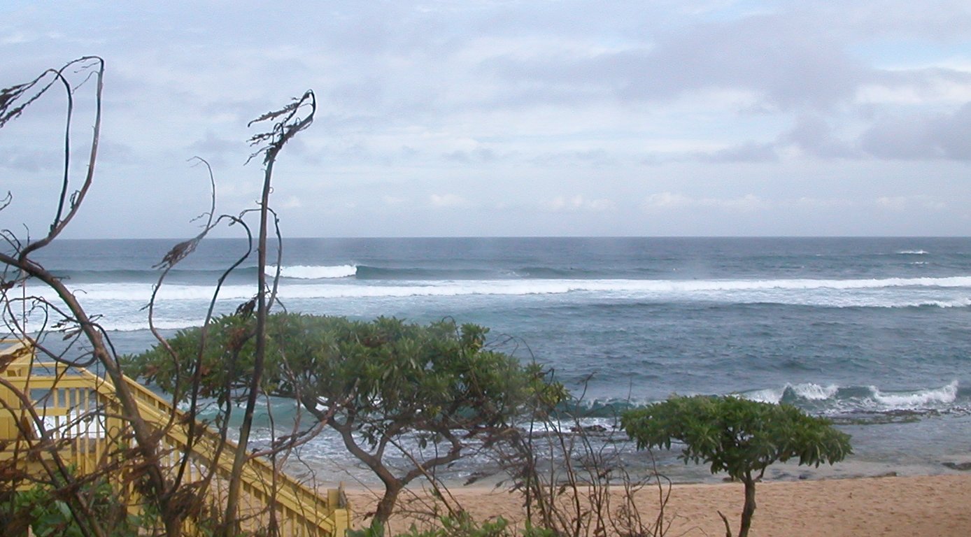 seedicksurf.com - Daily Hot shot