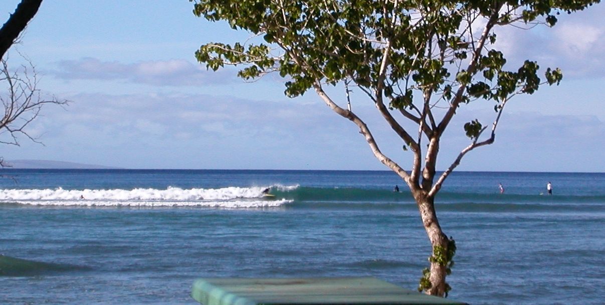 seedicksurf.com - Daily Hot shot