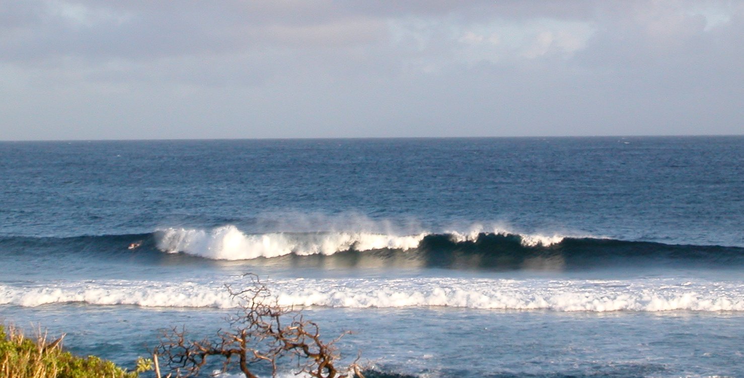 seedicksurf.com - Daily Hot shot