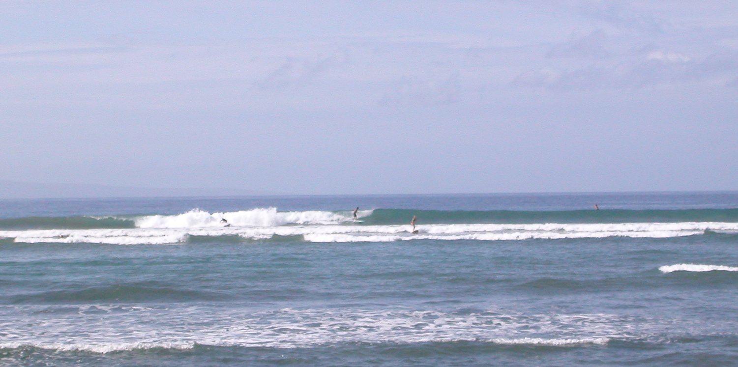 seedicksurf.com - Daily Hot shot