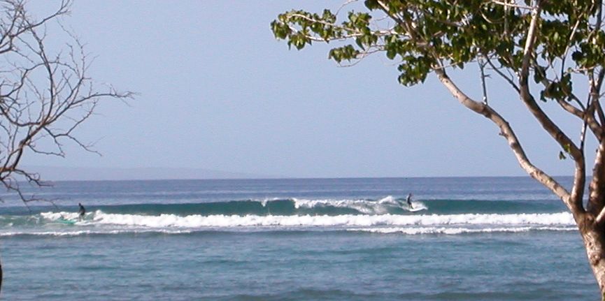 seedicksurf.com - Daily Hot shot