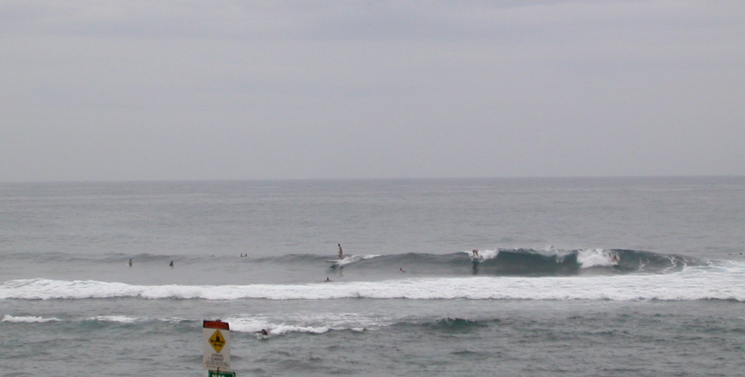 seedicksurf.com - Daily Hot shot