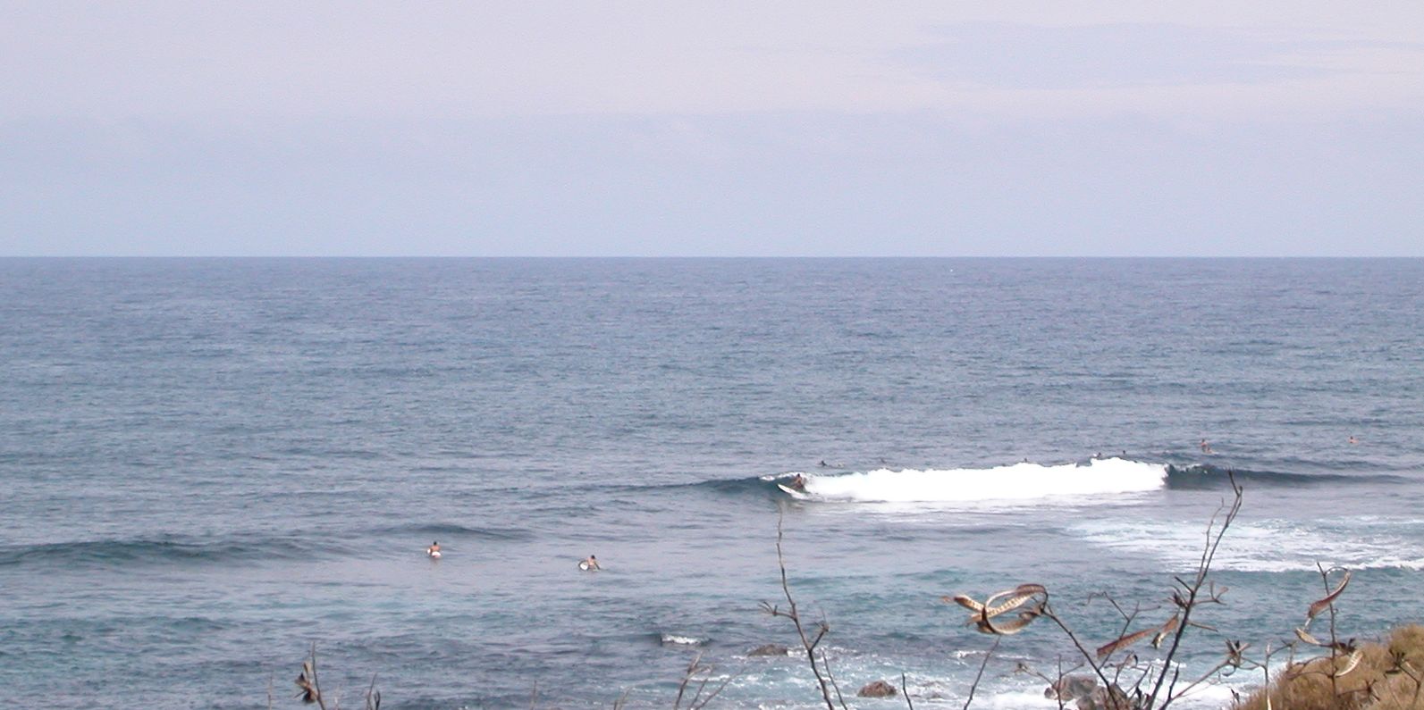 seedicksurf.com - Daily Hot shot