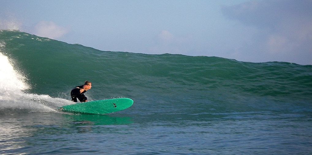 seedicksurf.com - Daily Hot shot
