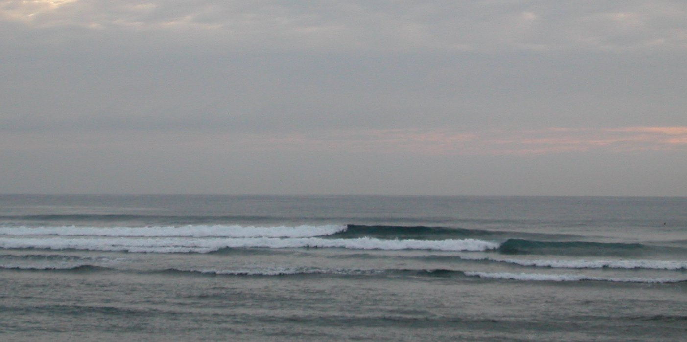 seedicksurf.com - Daily Hot shot