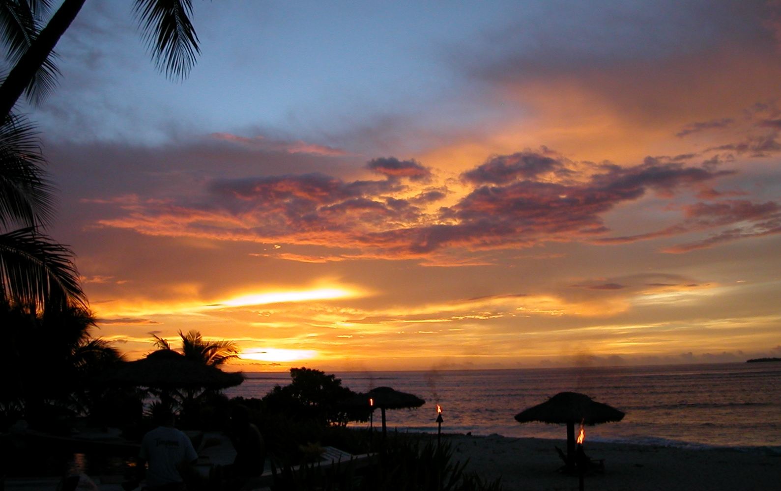 seedicksurf.com - Daily Hot shot - Maui Surf Report