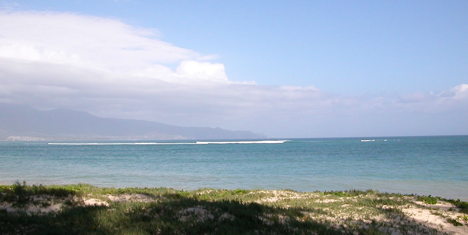 seedicksurf.com - Daily Hot shot - Maui Surf Report