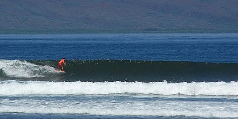 seedicksurf.com - Daily Hot shot- Apo would go!!