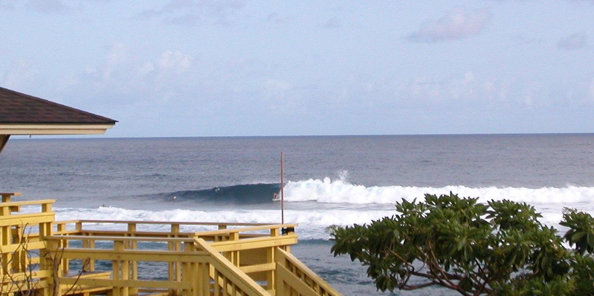 seedicksurf.com - Daily Hot shot!!