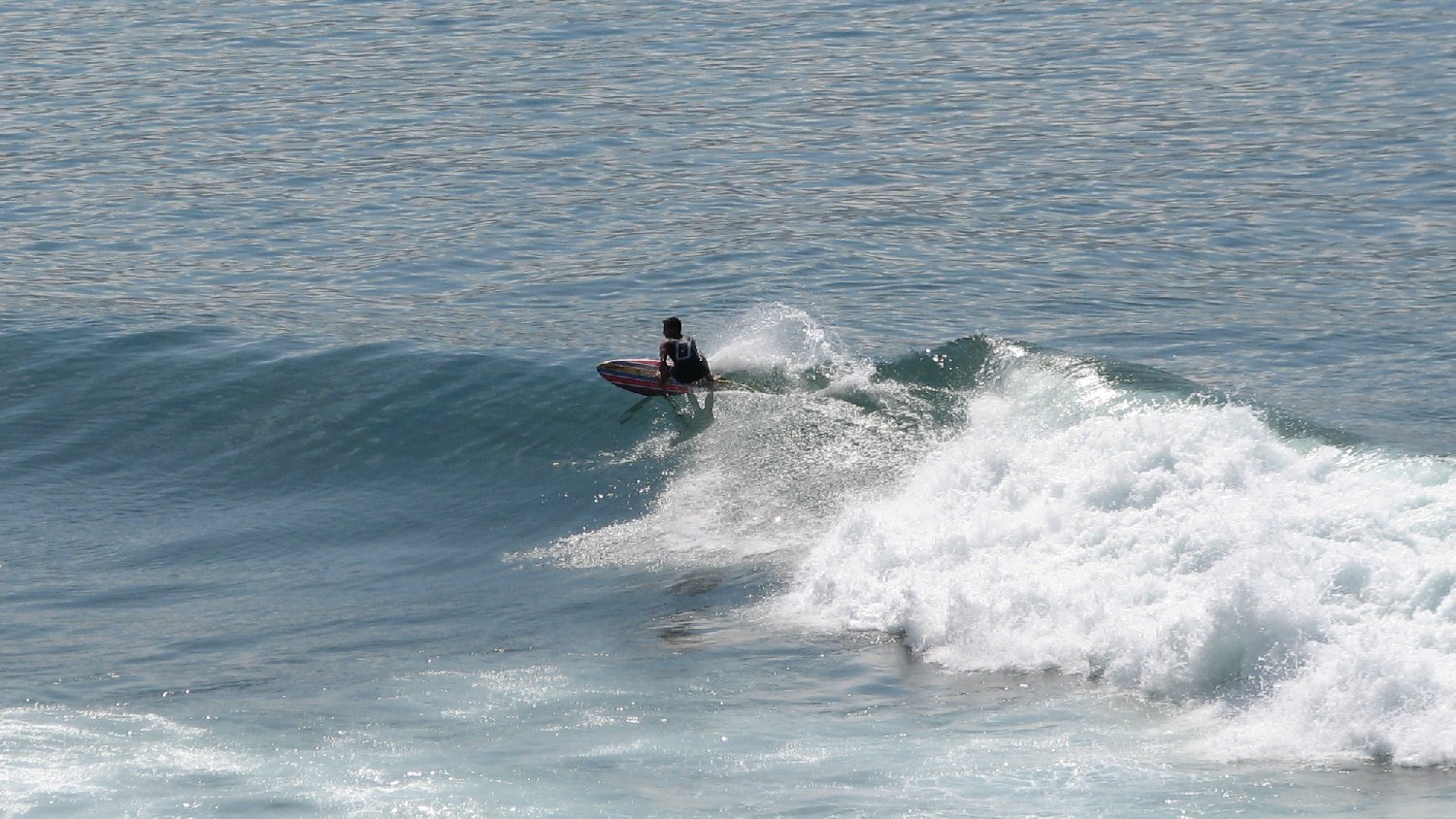 seedicksurf.com - Maui Daily Surf shots and the Maui surf report!!