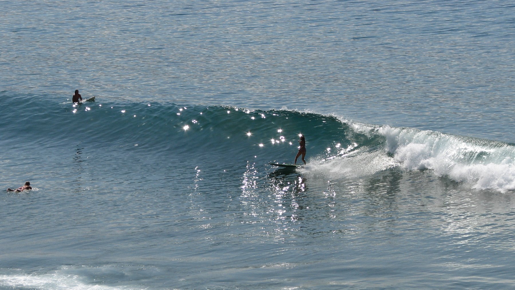 seedicksurf.com - Maui Daily Surf shots and the Maui surf report!!