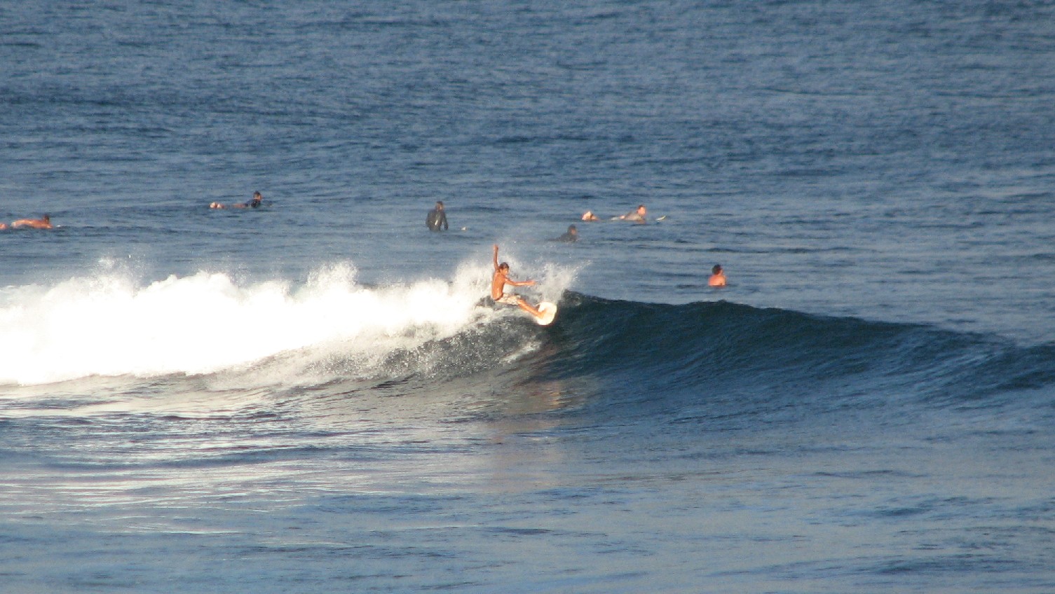 seedicksurf.com - Maui Daily Surf shots and the Maui surf report!!