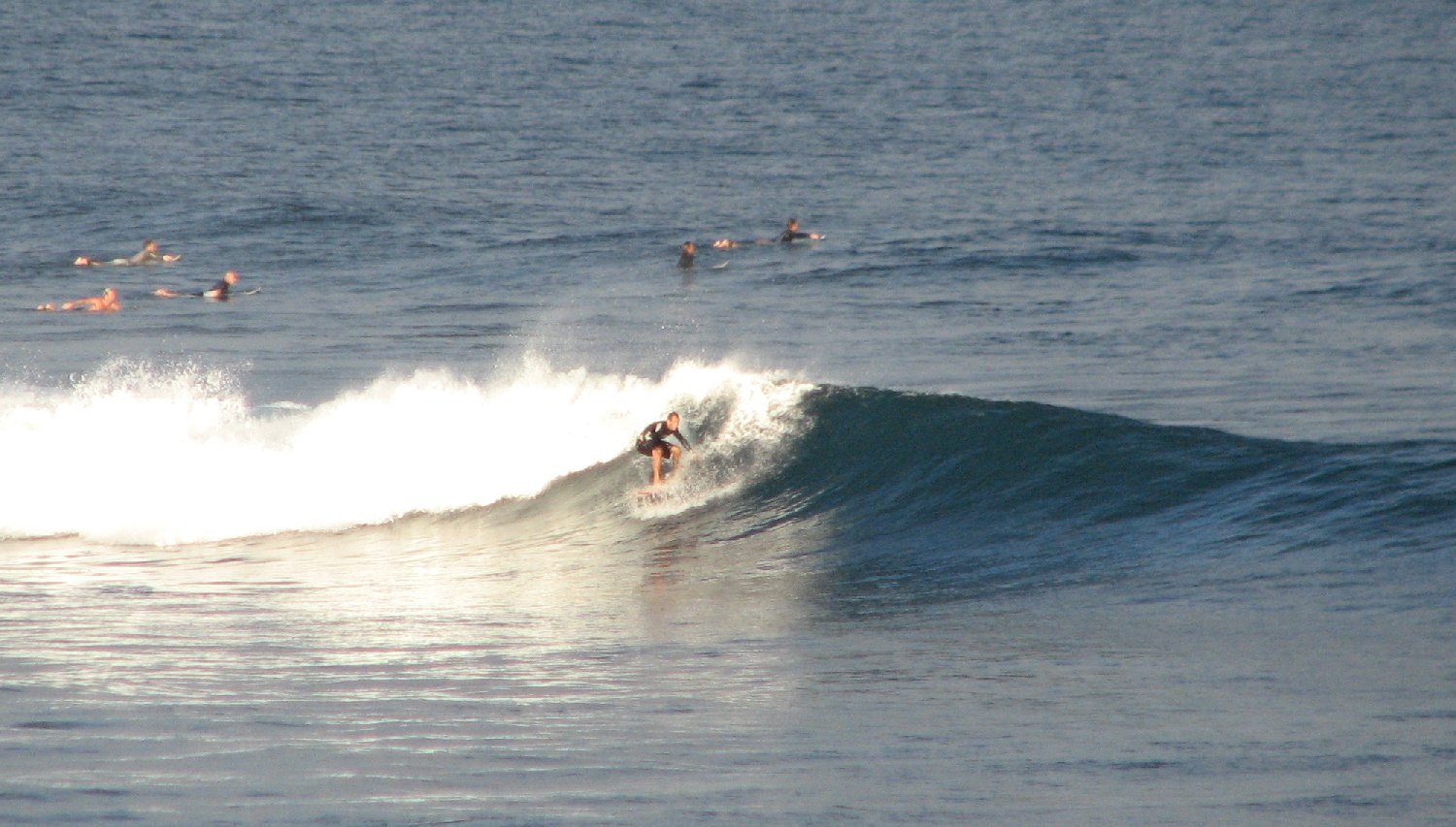 seedicksurf.com - Maui Daily Surf shots and the Maui surf report!!