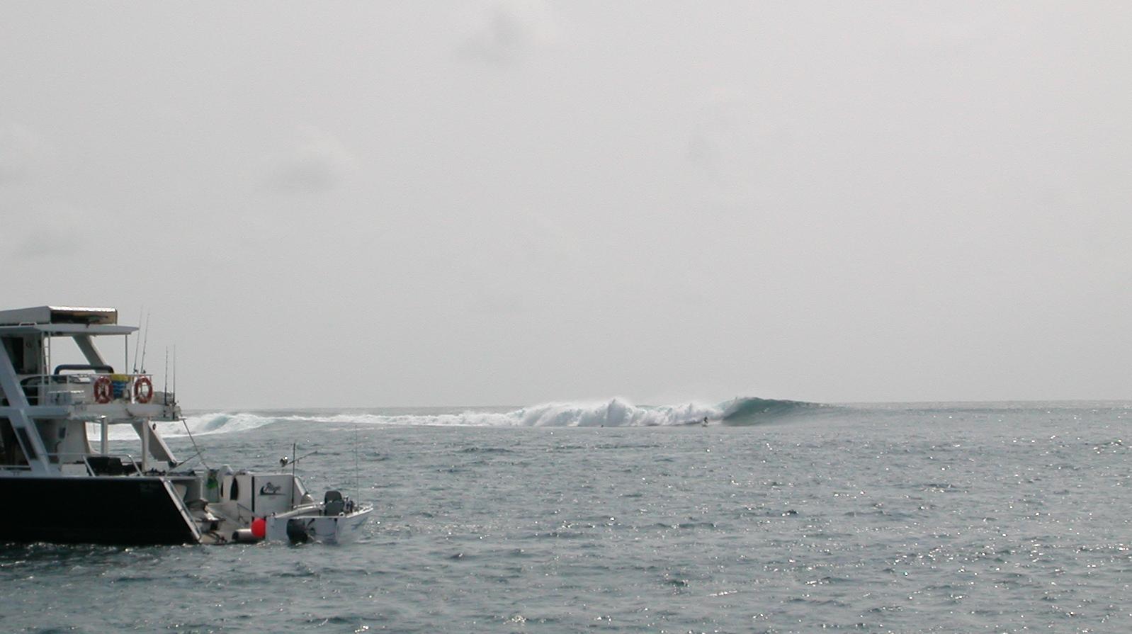 seedicksurf.com - Maui Daily Surf shots and the Maui surf report!!