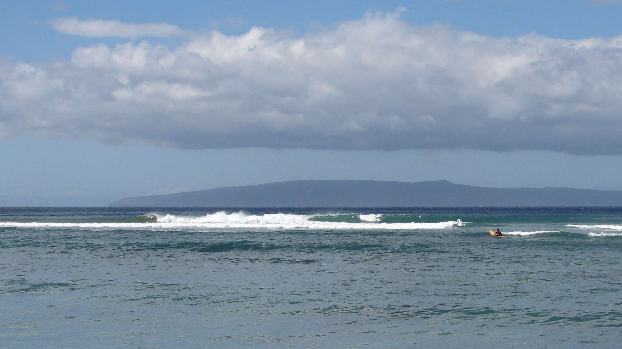 seedicksurf.com - Maui Daily Surf shots and the Maui surf report!!