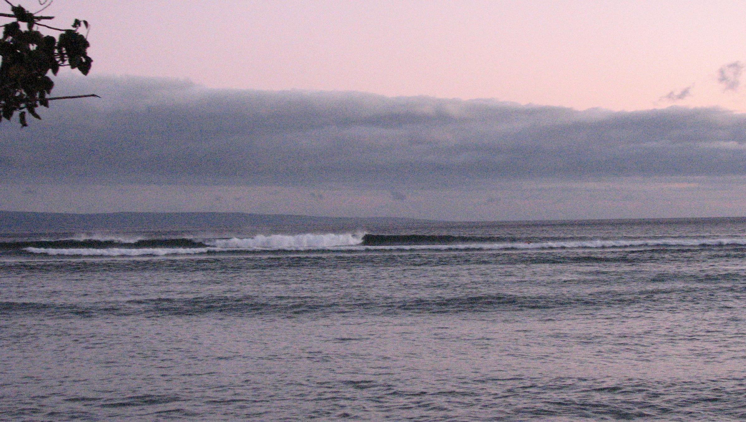 seedicksurf.com - Maui Daily Surf shots and the Maui surf report!!