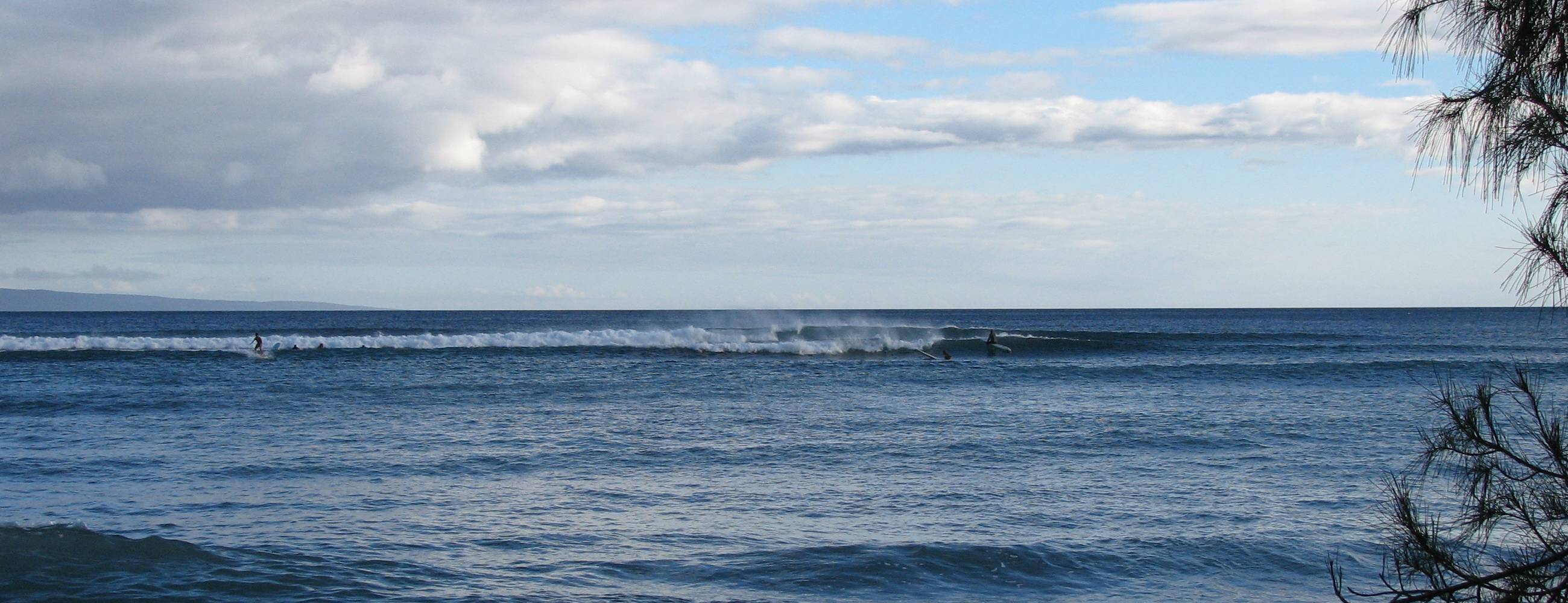 seedicksurf.com - Maui Daily Surf shots and the Maui surf report!!