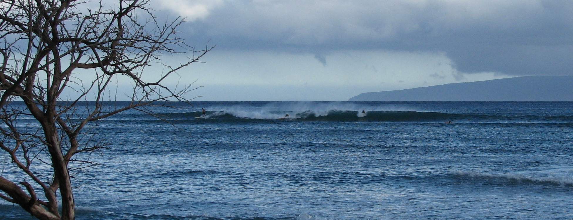 seedicksurf.com - Maui Daily Surf shots and the Maui surf report!!