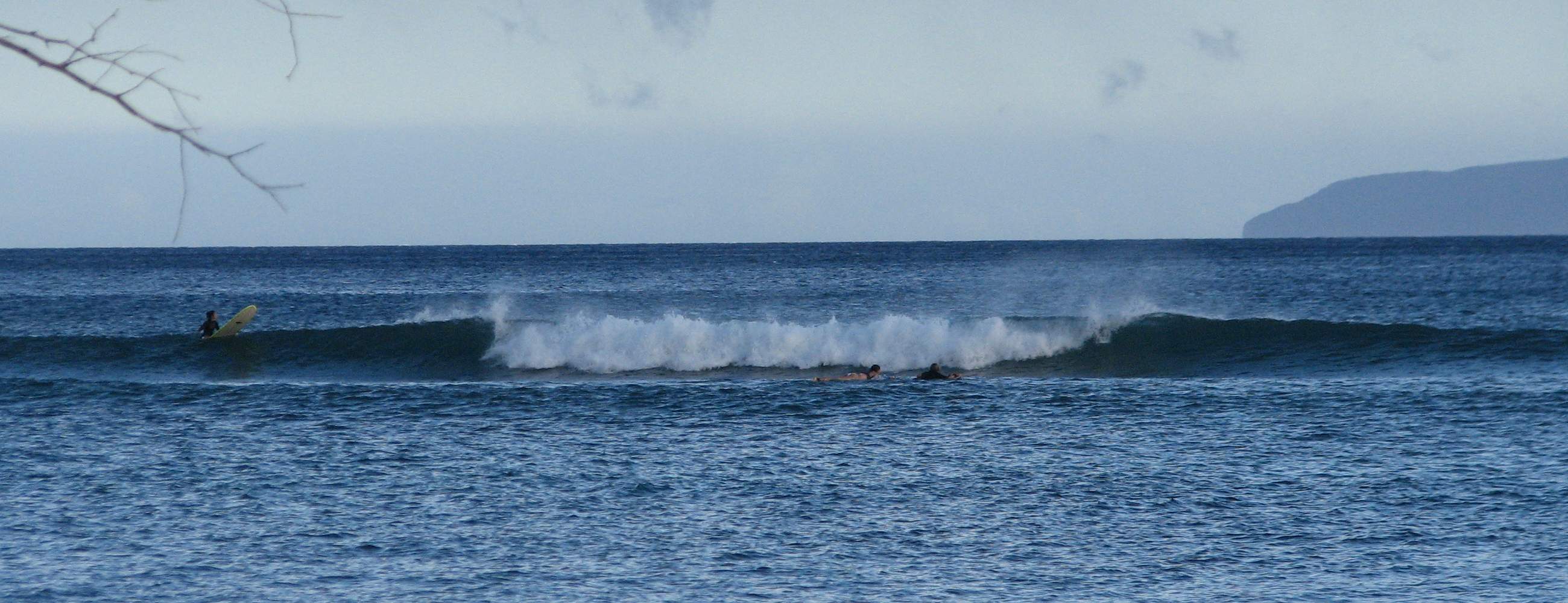 seedicksurf.com - Maui Daily Surf shots and the Maui surf report!!