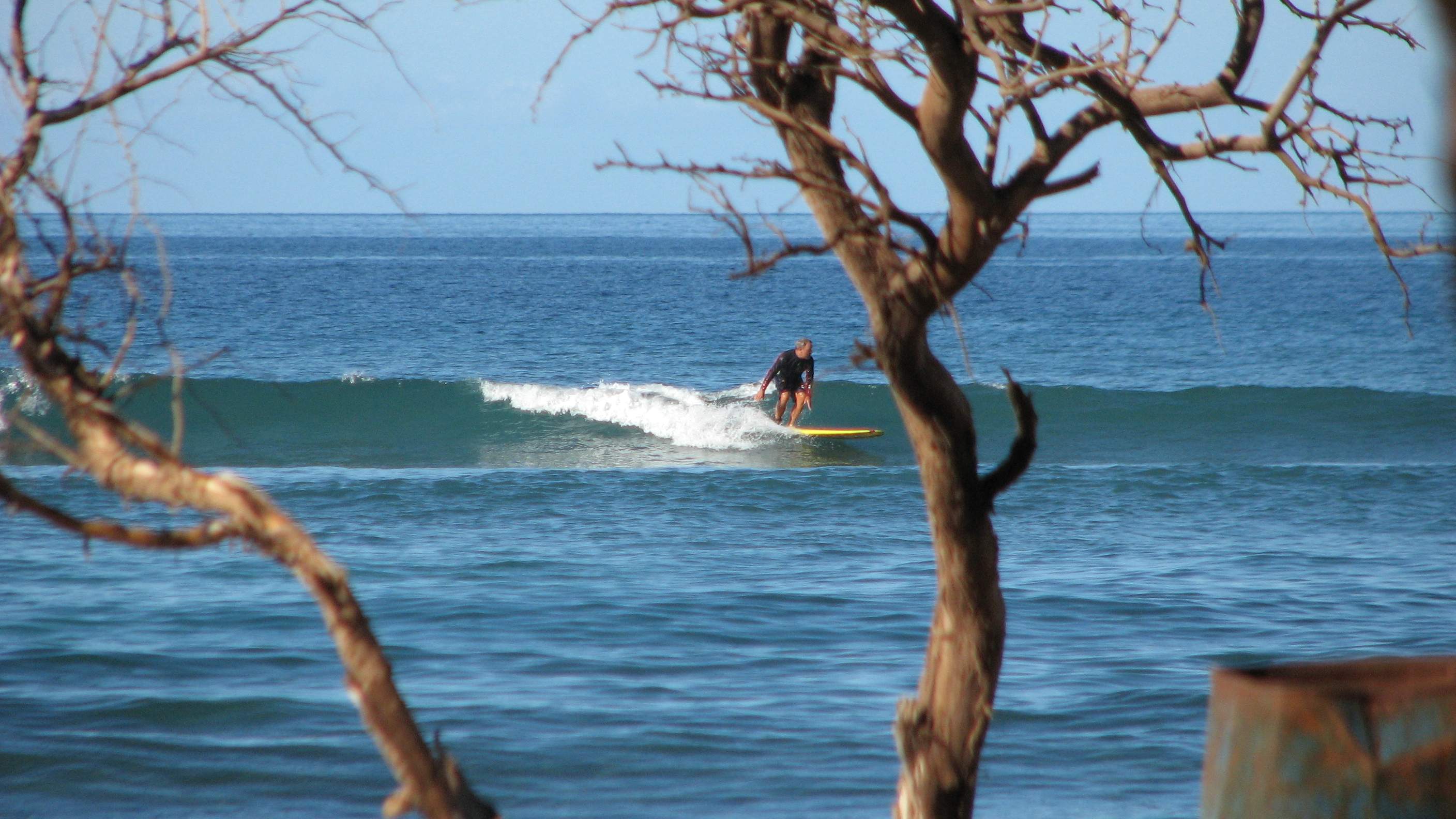 seedicksurf.com - Maui Daily Surf shots and the Maui surf report!!