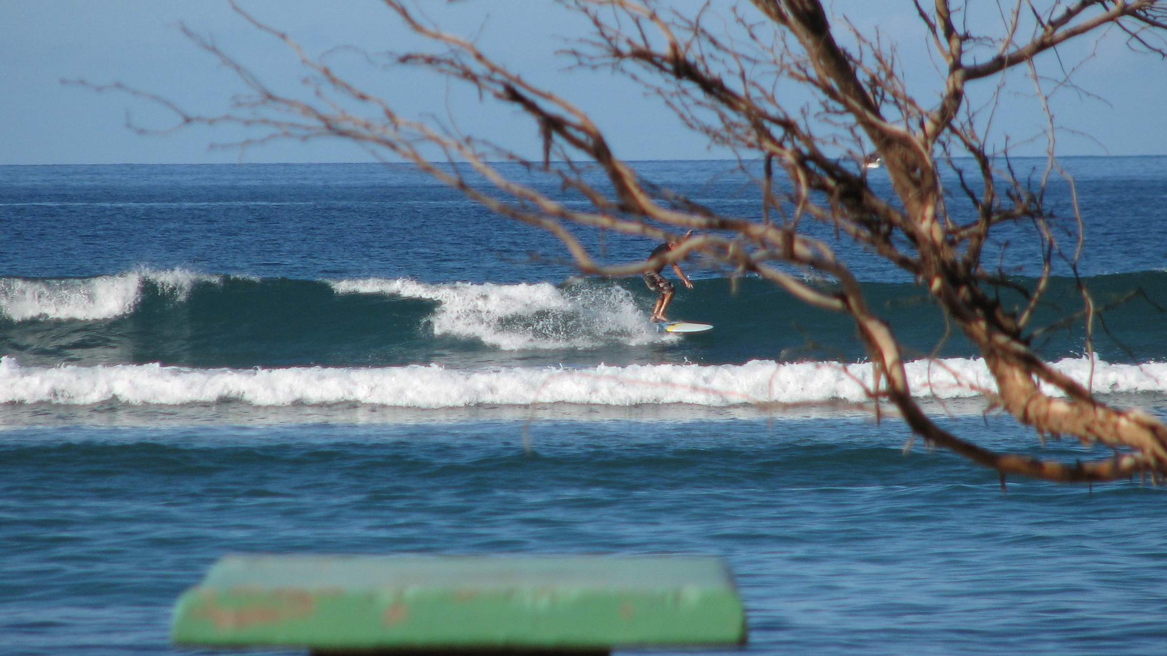 seedicksurf.com - Maui Daily Surf shots and the Maui surf report!!
