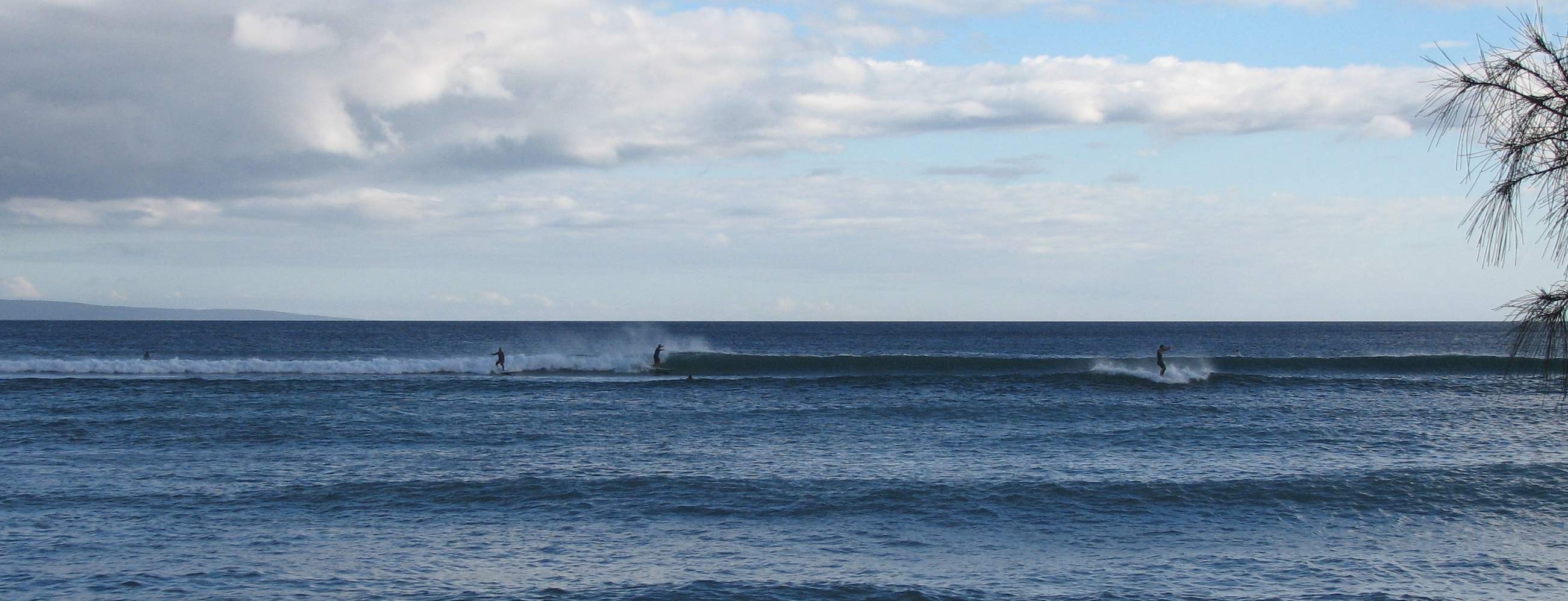 seedicksurf.com - Maui Daily Surf shots and the Maui surf report!!