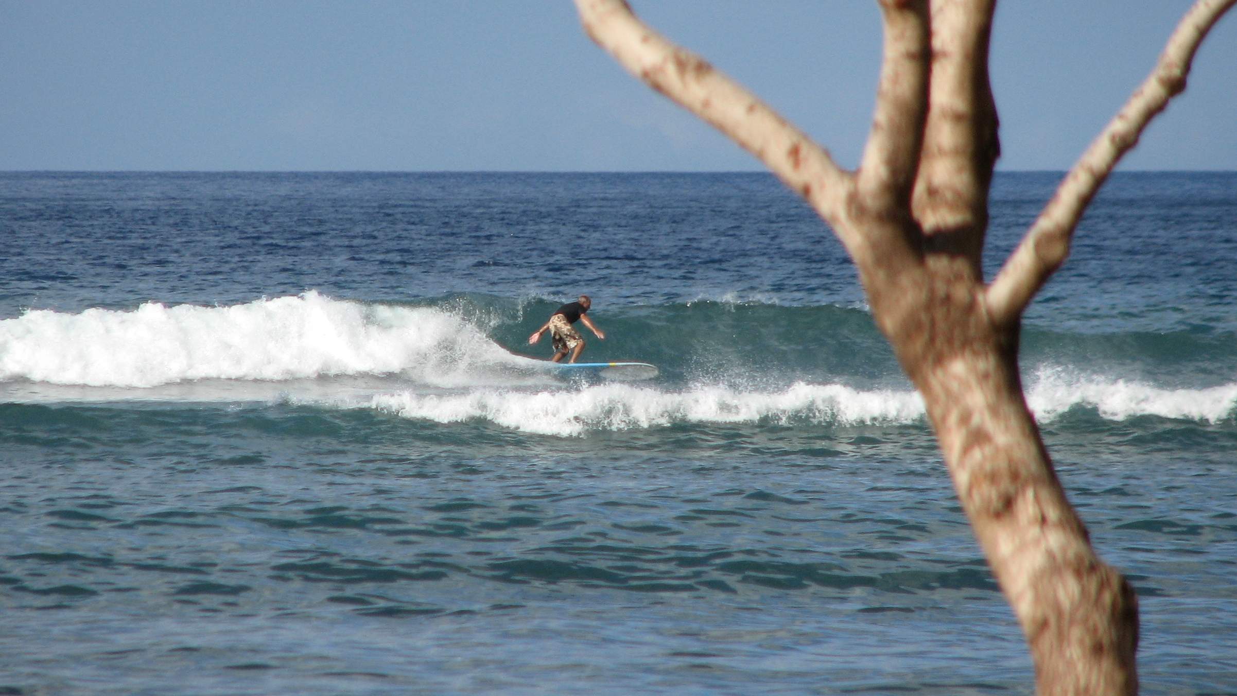 seedicksurf.com - Maui Daily Surf shots and the Maui surf report!!