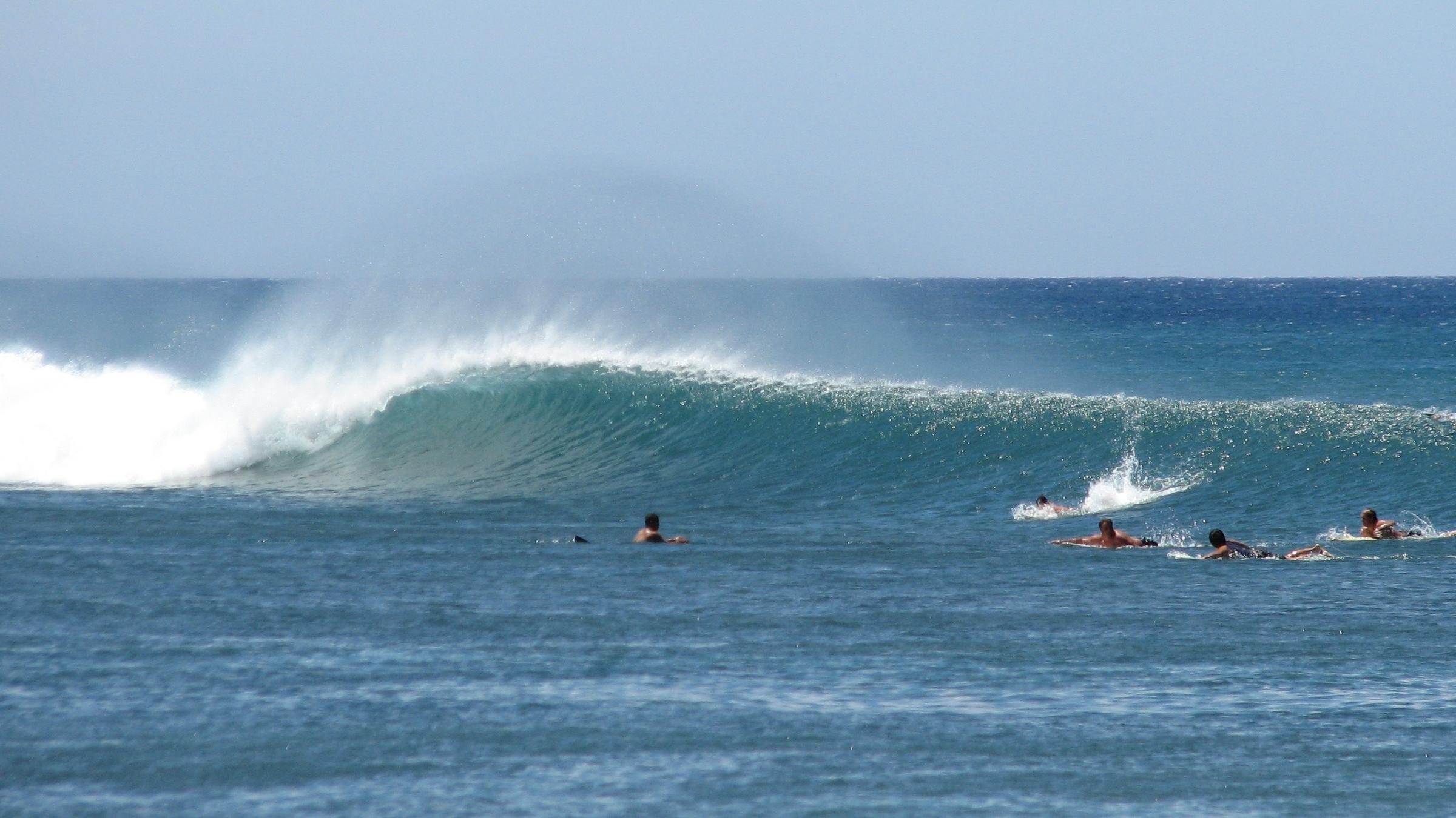 seedicksurf.com - Maui Daily Surf shots and the Maui surf report!!