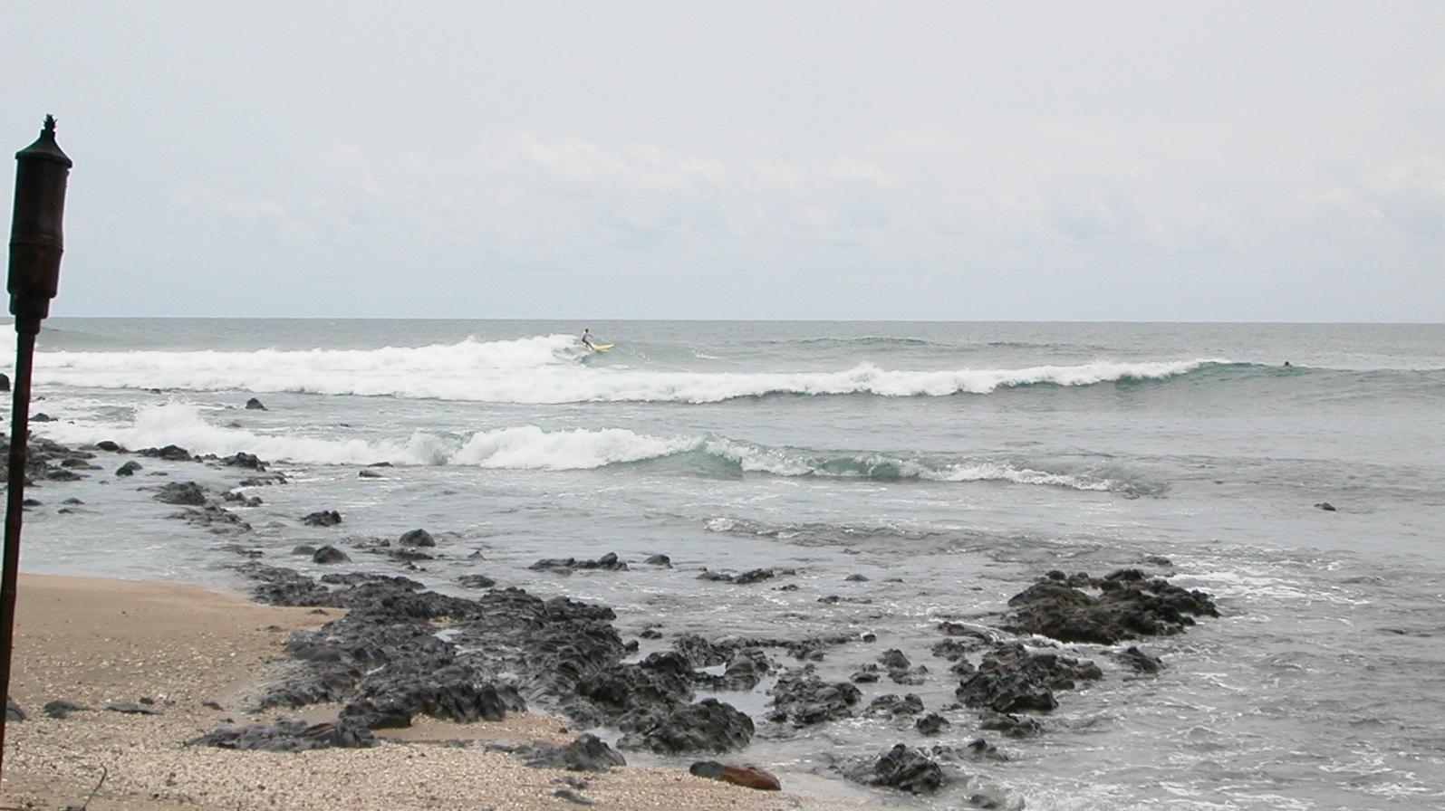 seedicksurf.com - Maui Daily Surf shots and the Maui surf report!!