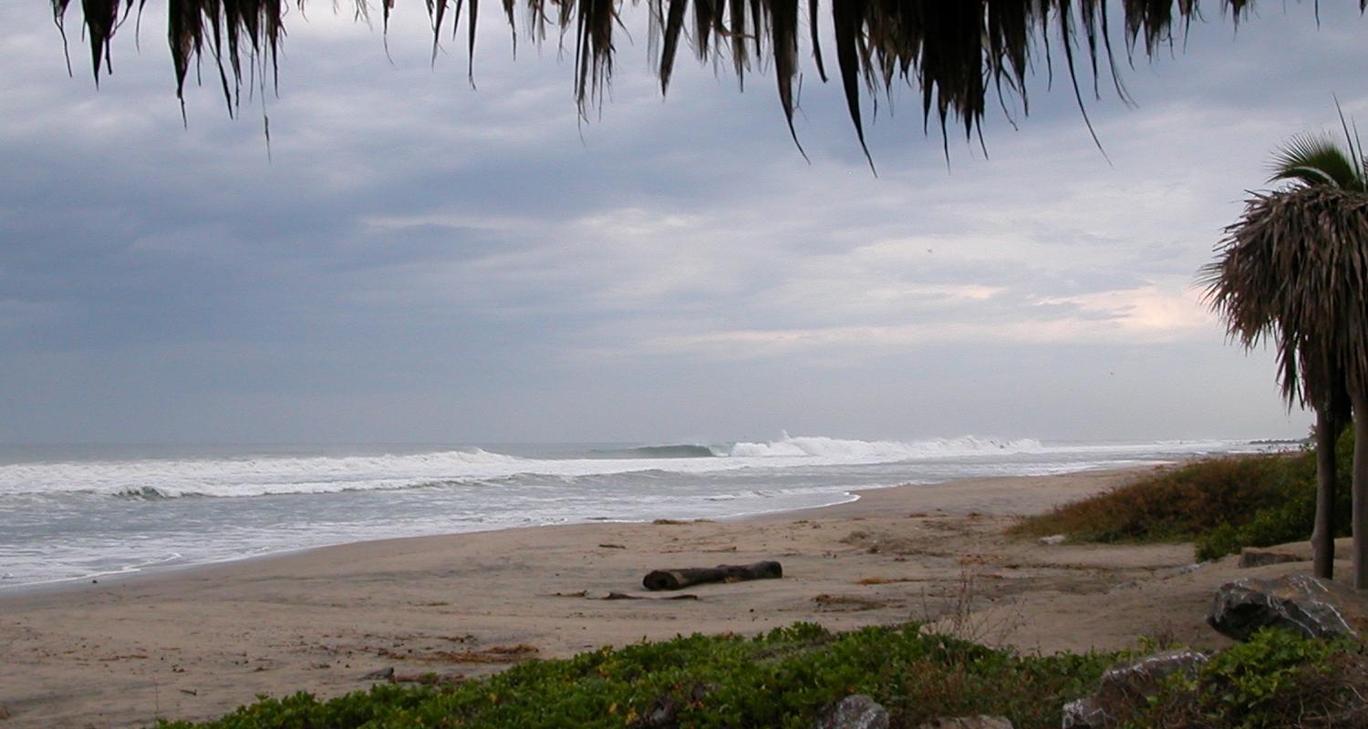 seedicksurf.com - Maui Daily Surf shots and the Maui surf report!!