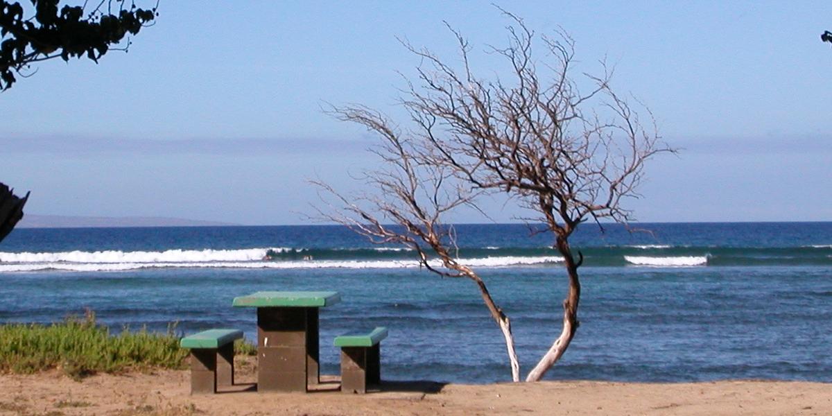 seedicksurf.com - Maui Daily Surf shots and the Maui surf report!!