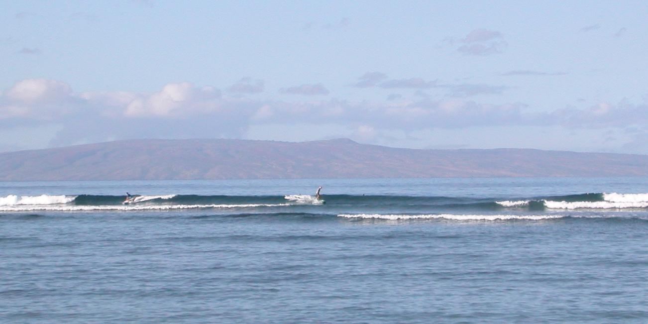 seedicksurf.com - Maui Daily Surf shots and the Maui surf report!!