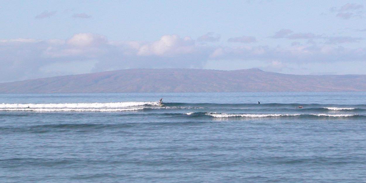 seedicksurf.com - Maui Daily Surf shots and the Maui surf report!!