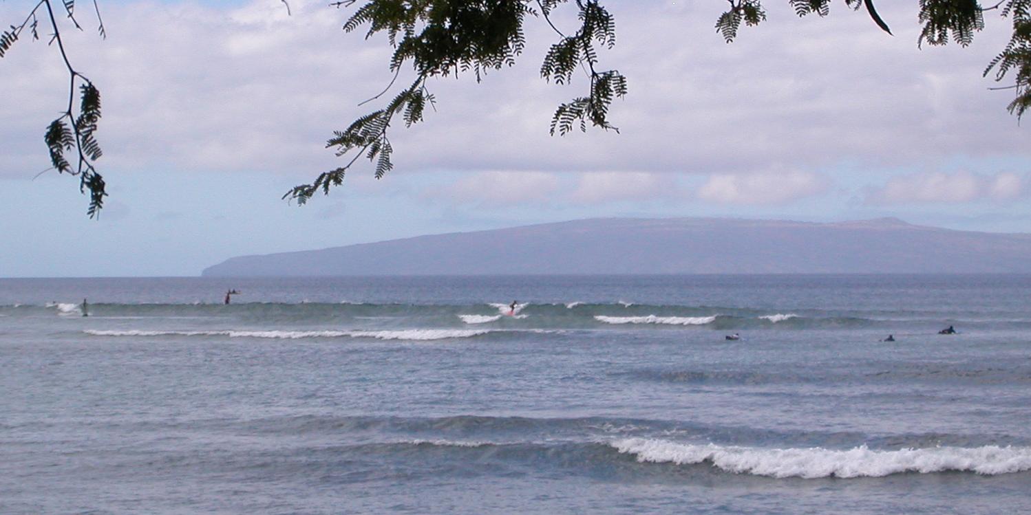 seedicksurf.com - Maui Daily Surf shots and the Maui surf report!!