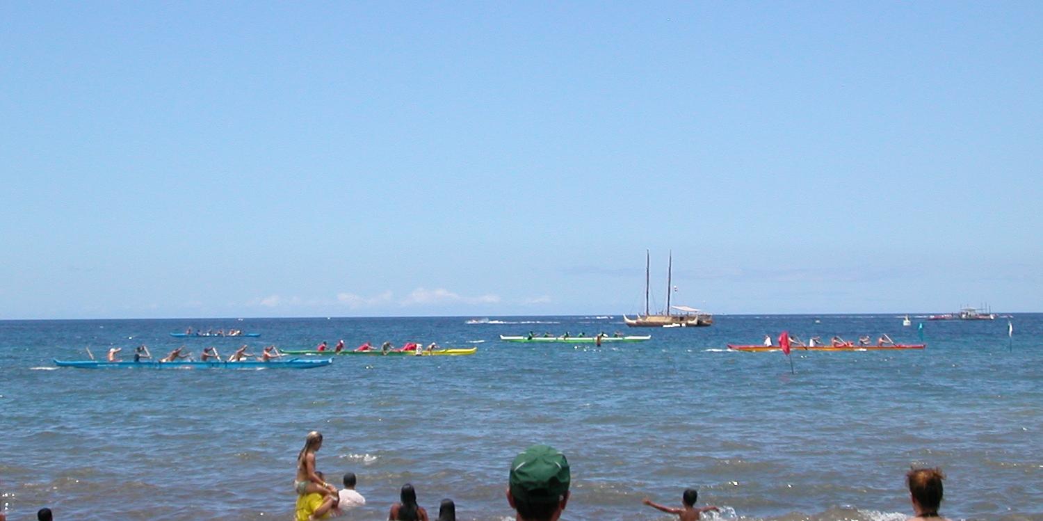 seedicksurf.com - Maui Daily Surf shots and the Maui surf report!!