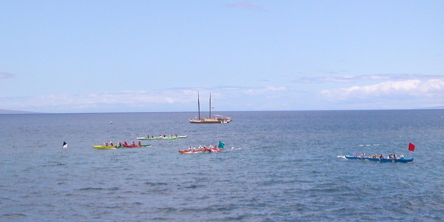 seedicksurf.com - Maui Daily Surf shots and the Maui surf report!!
