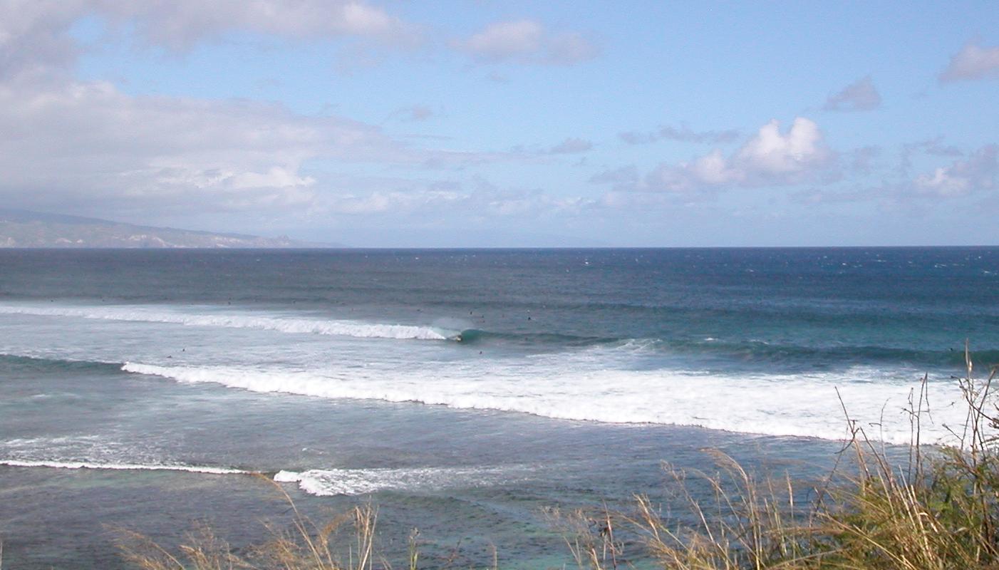 seedicksurf.com - Maui Daily Surf shots and the Maui surf report!!