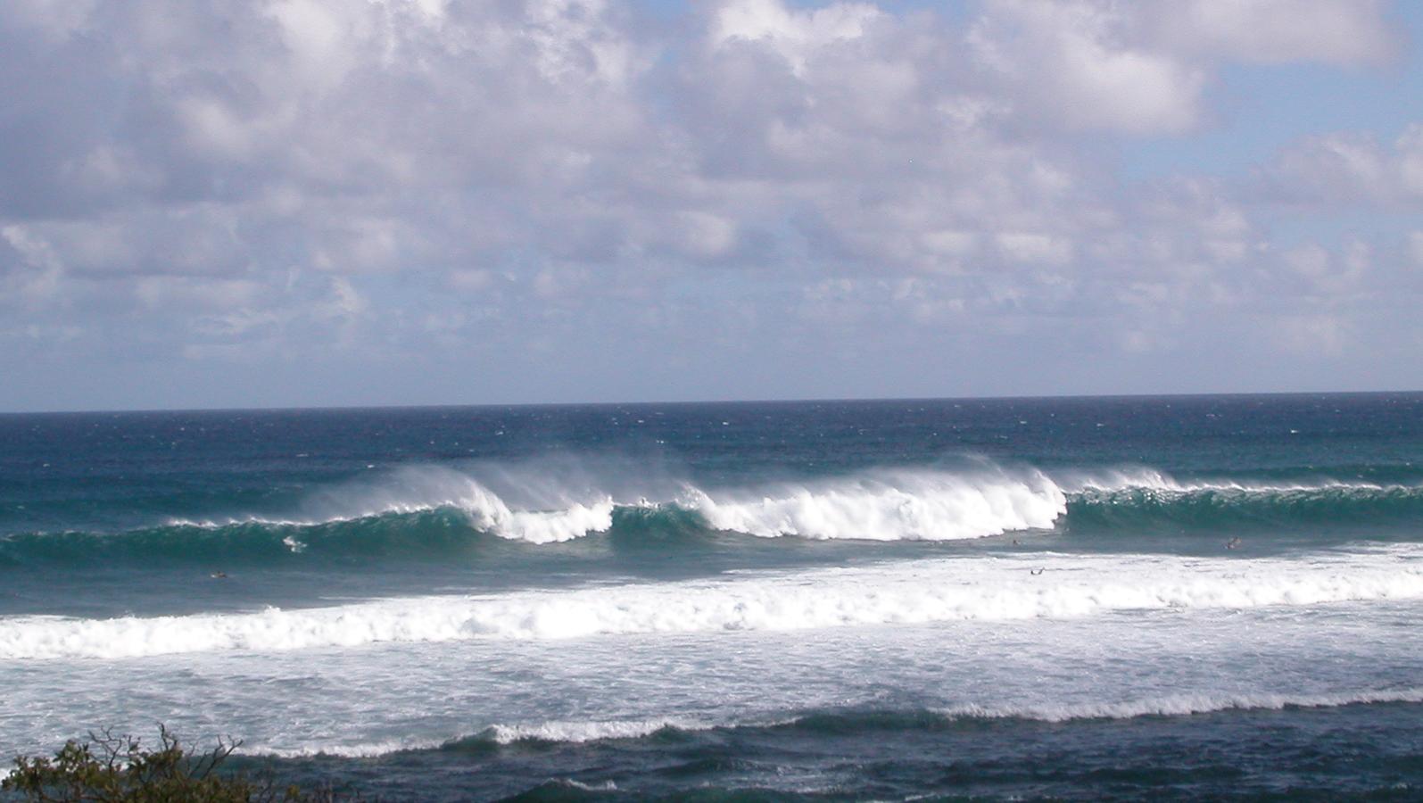 seedicksurf.com - Maui Daily Surf shots and the Maui surf report!!