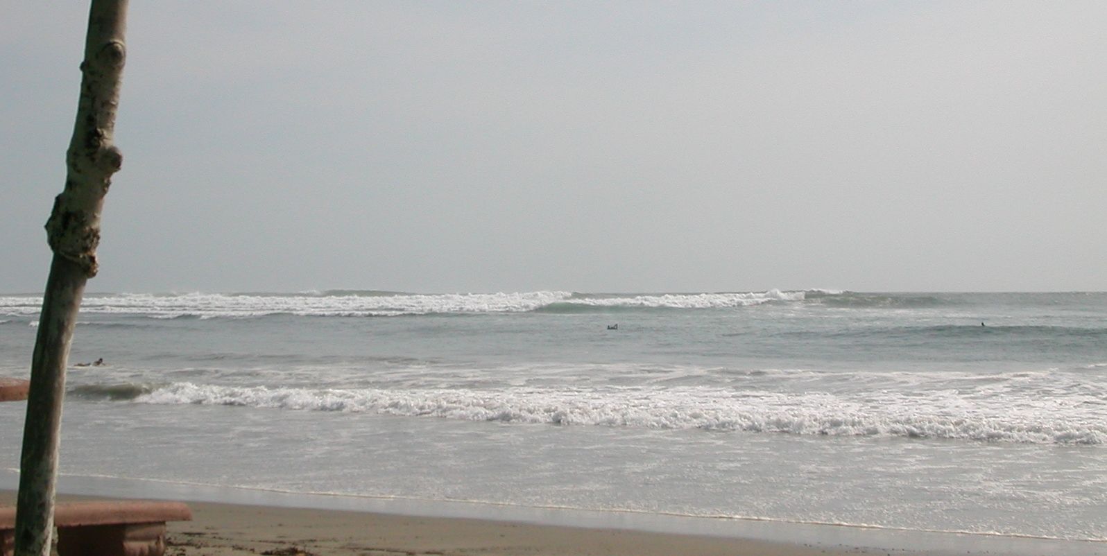 seedicksurf.com - Maui Daily Surf shots and the Maui surf report!!