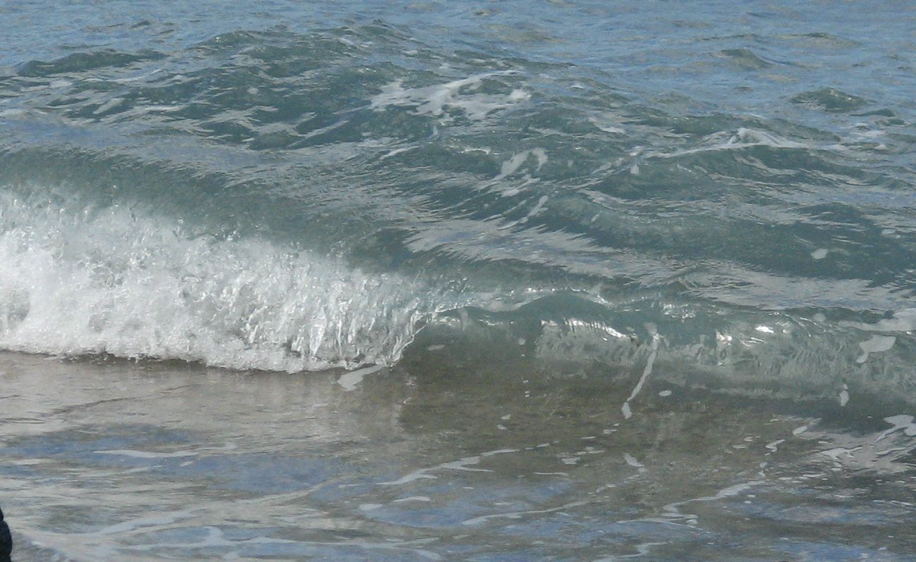 seedicksurf.com - Maui Daily Surf shots and the Maui surf report!!