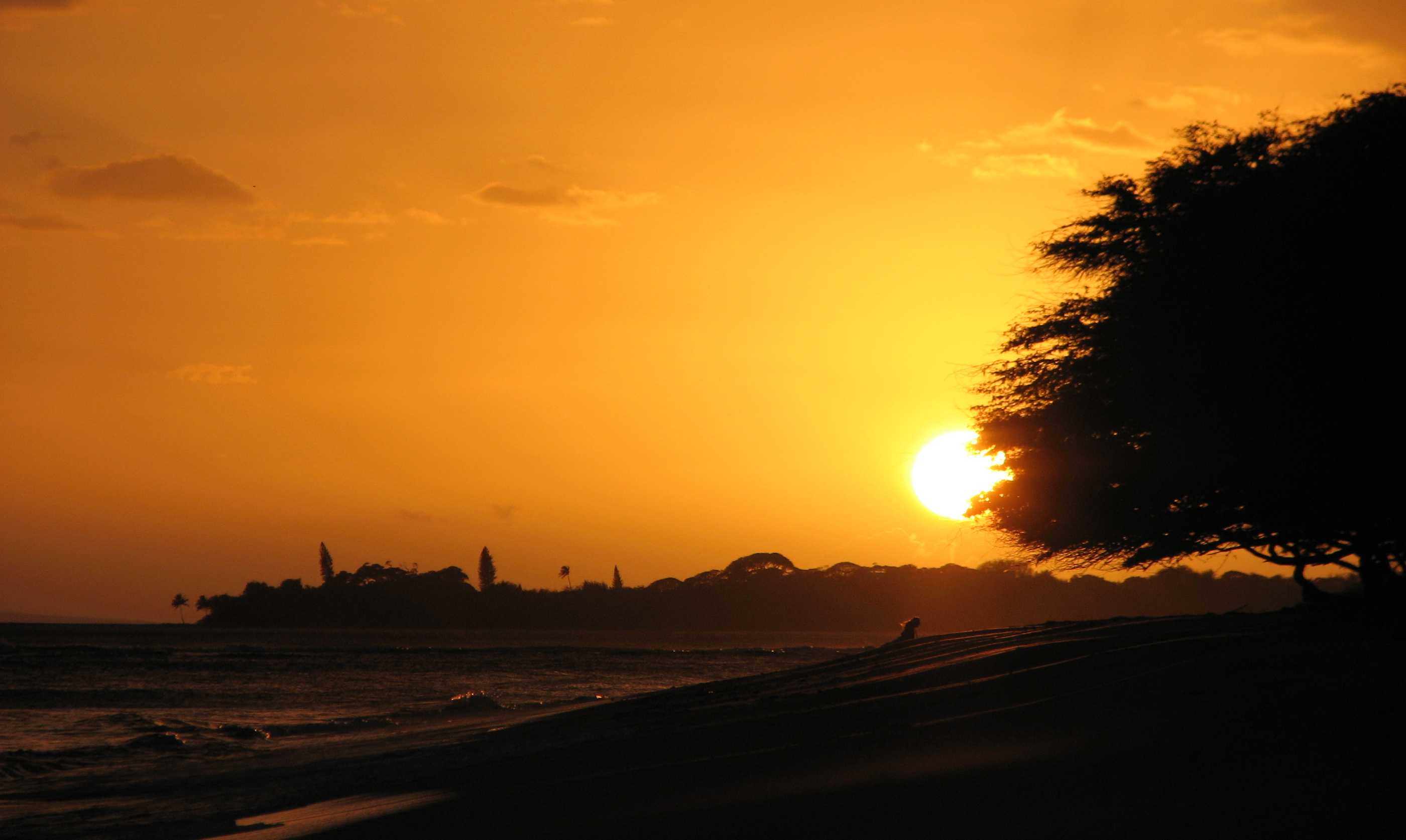 seedicksurf.com - Maui Daily Surf shots and the Maui surf report!!