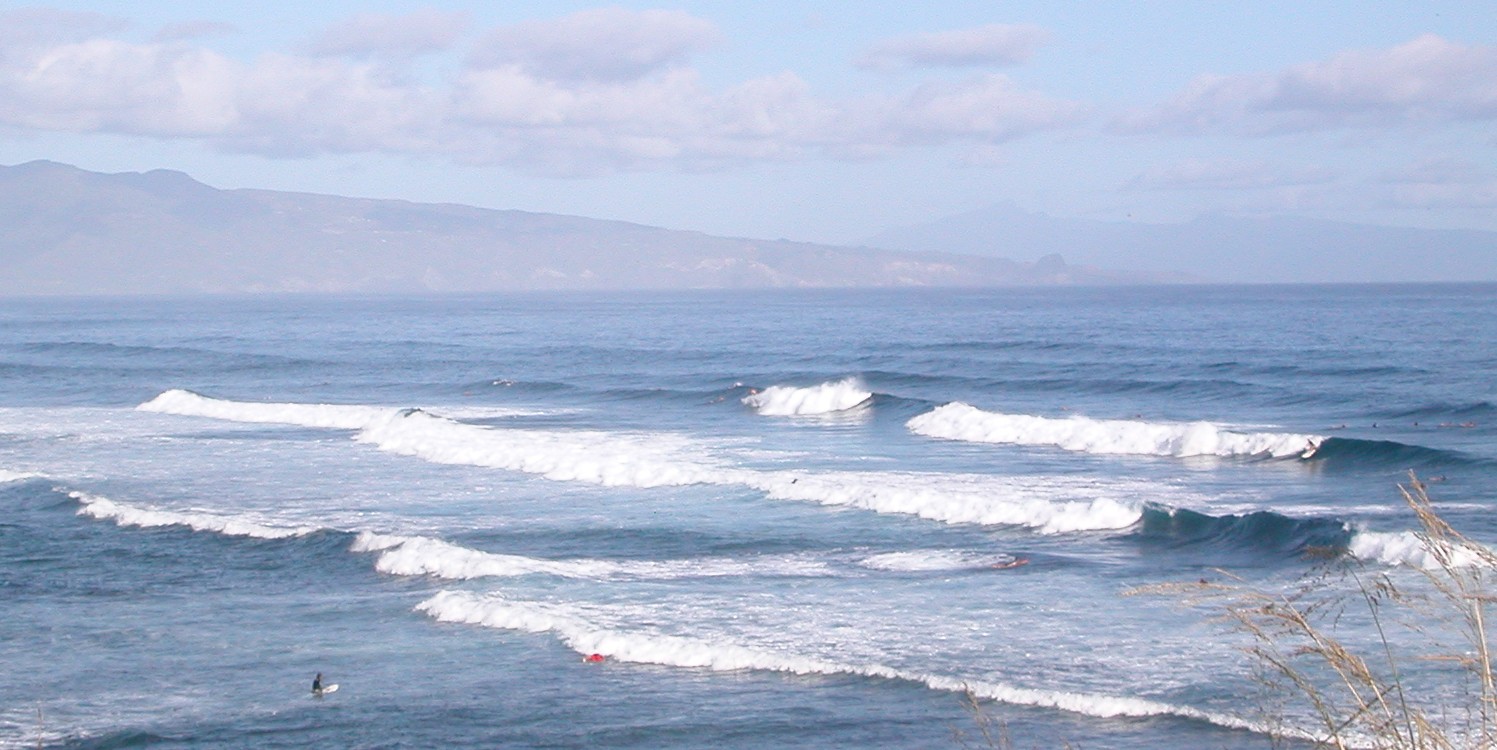 seedicksurf.com - Maui Daily Surf shots!!
