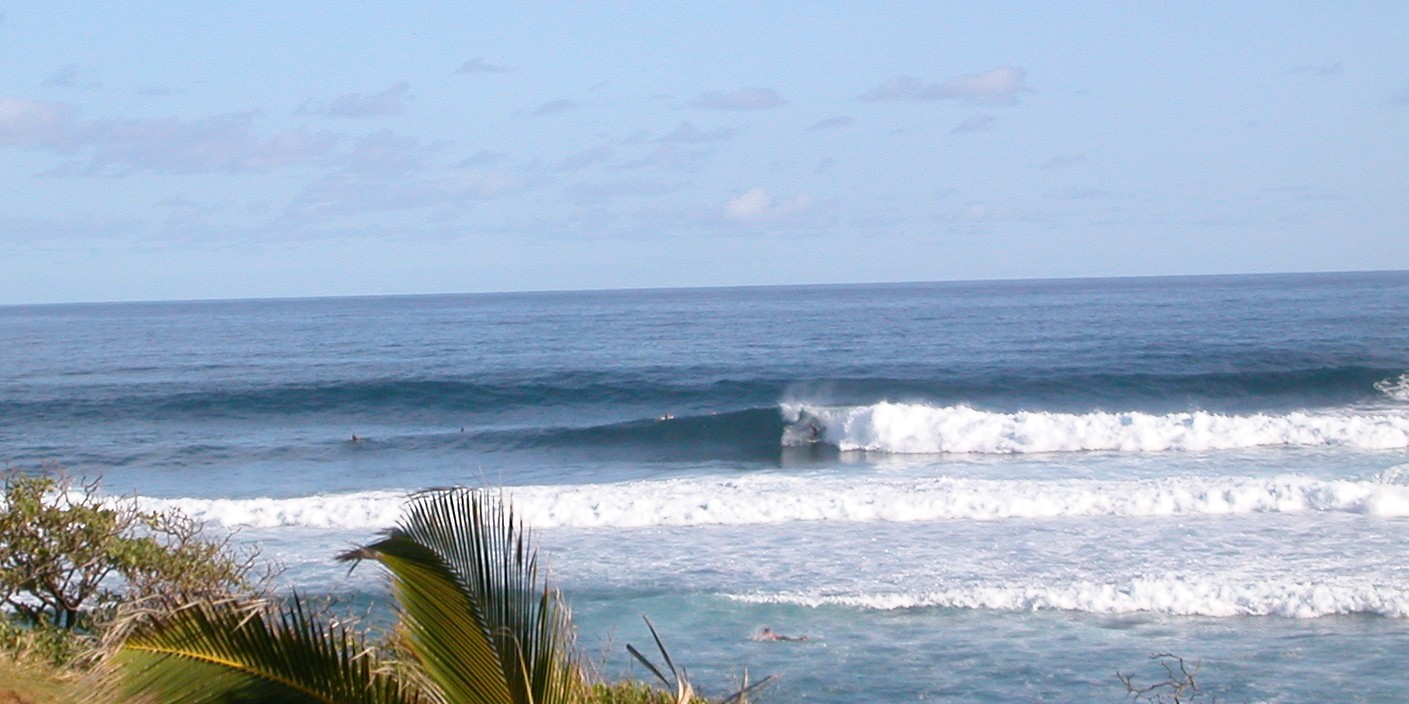 seedicksurf.com - Maui Daily Surf shots!!