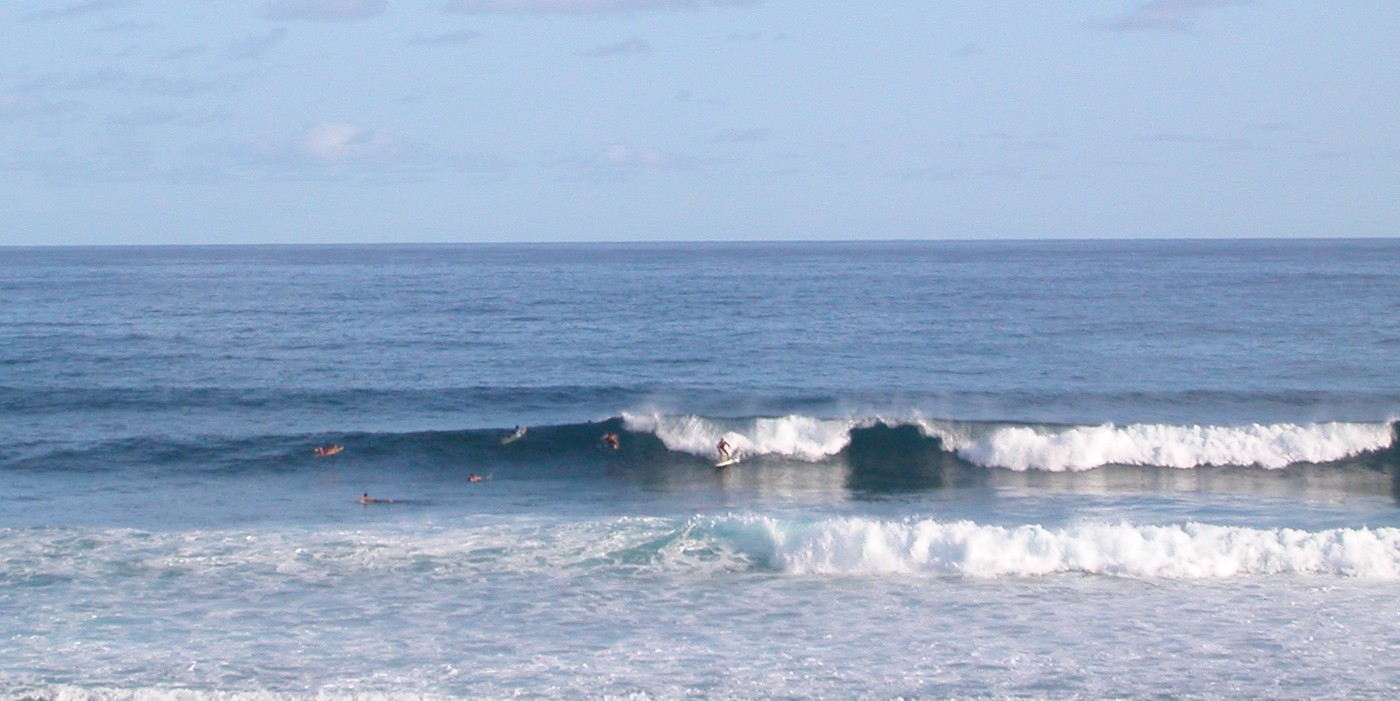 seedicksurf.com - Maui Daily Surf shots!!