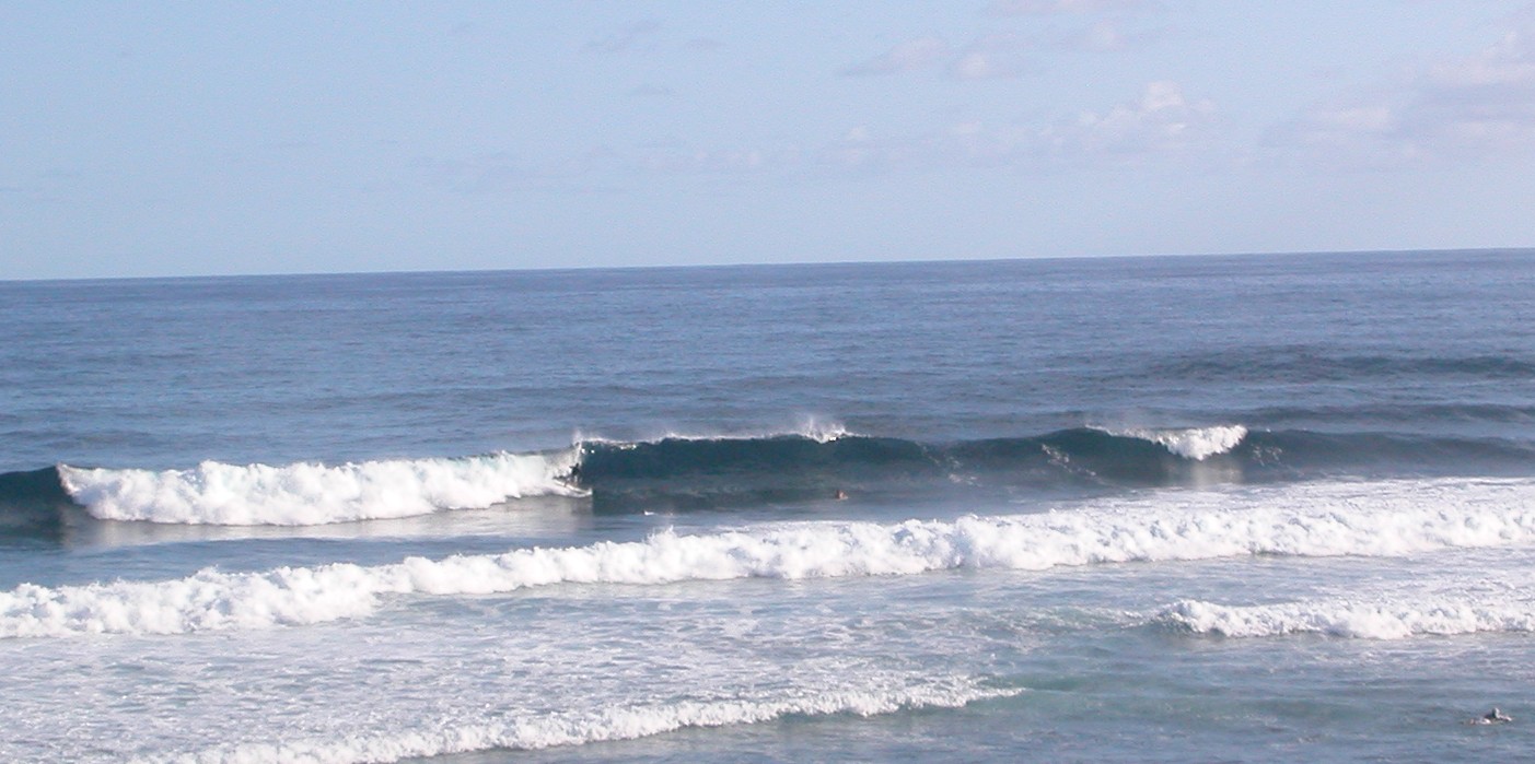 seedicksurf.com - Maui Daily Surf shots!!