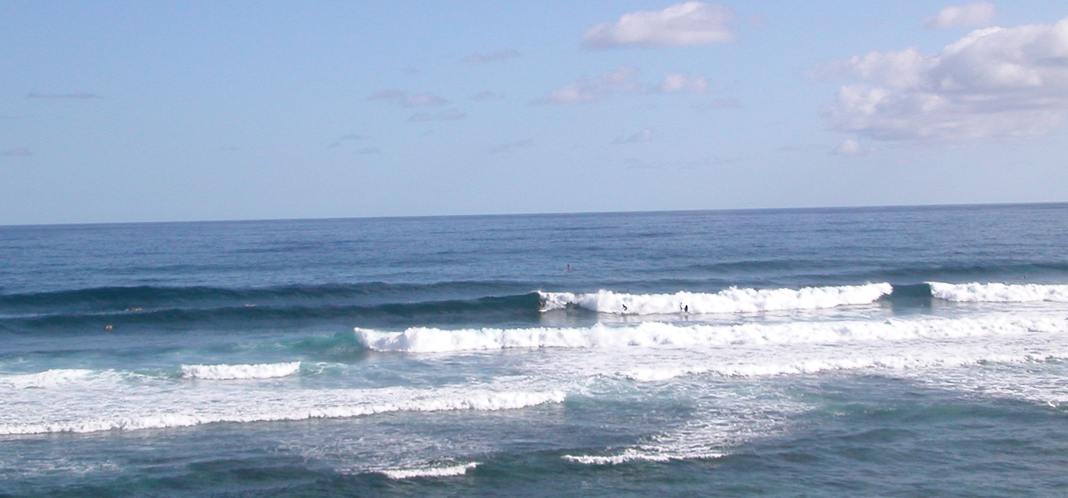 seedicksurf.com - Maui Daily Surf shots!!