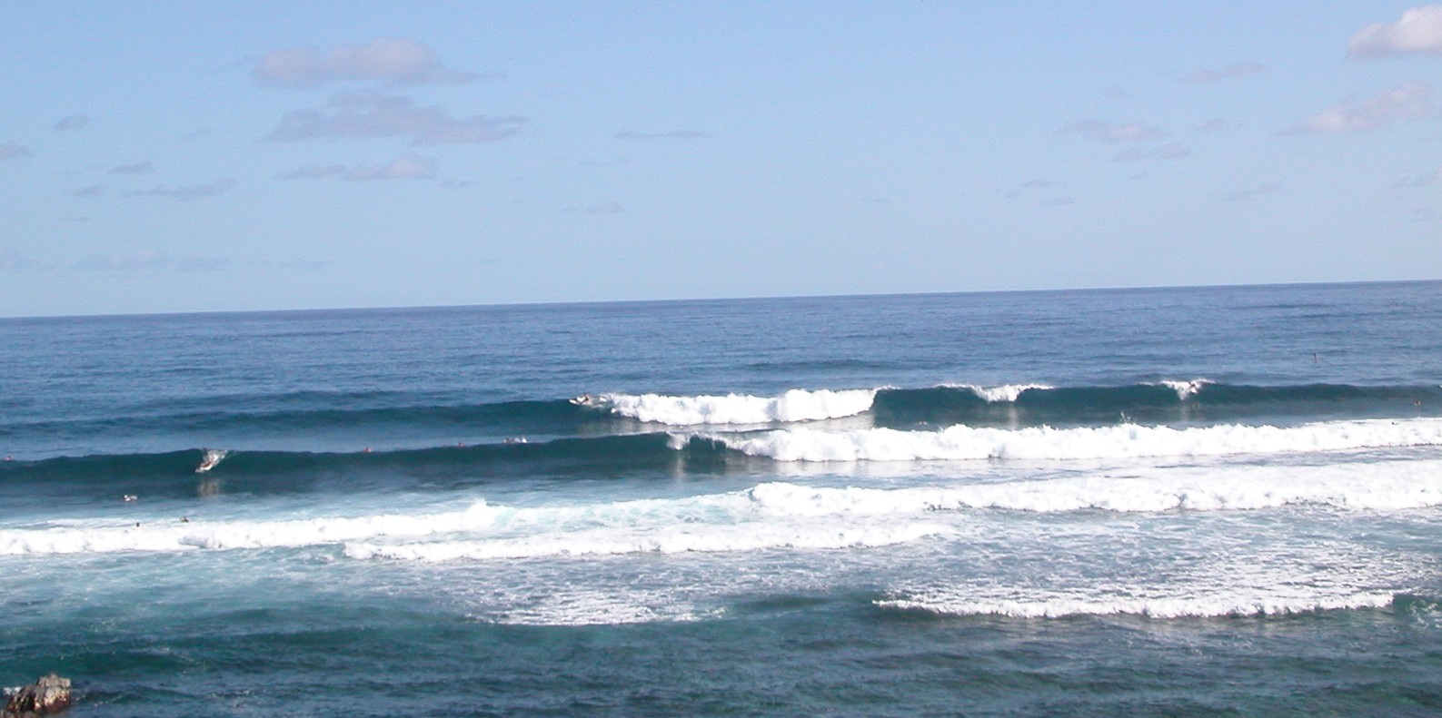 seedicksurf.com - Maui Daily Surf shots!!