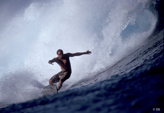seedicksurf.com - Maui Daily Surf shots!!
