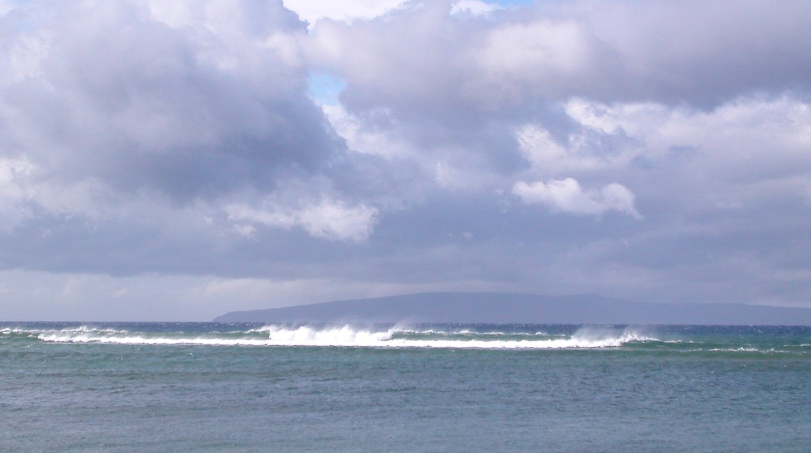 seedicksurf.com - Maui Daily Surf shots!!
